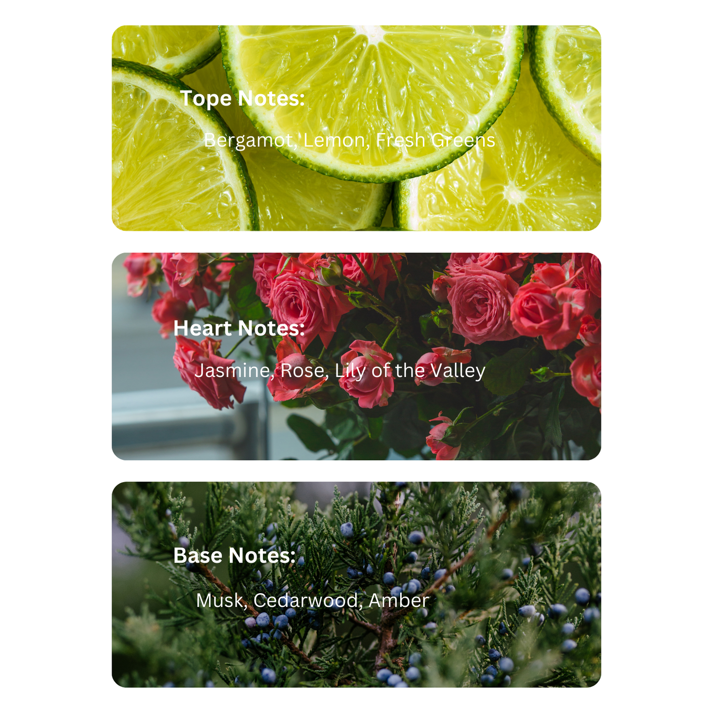 Blooming Sky – Inspired By J. Zarar