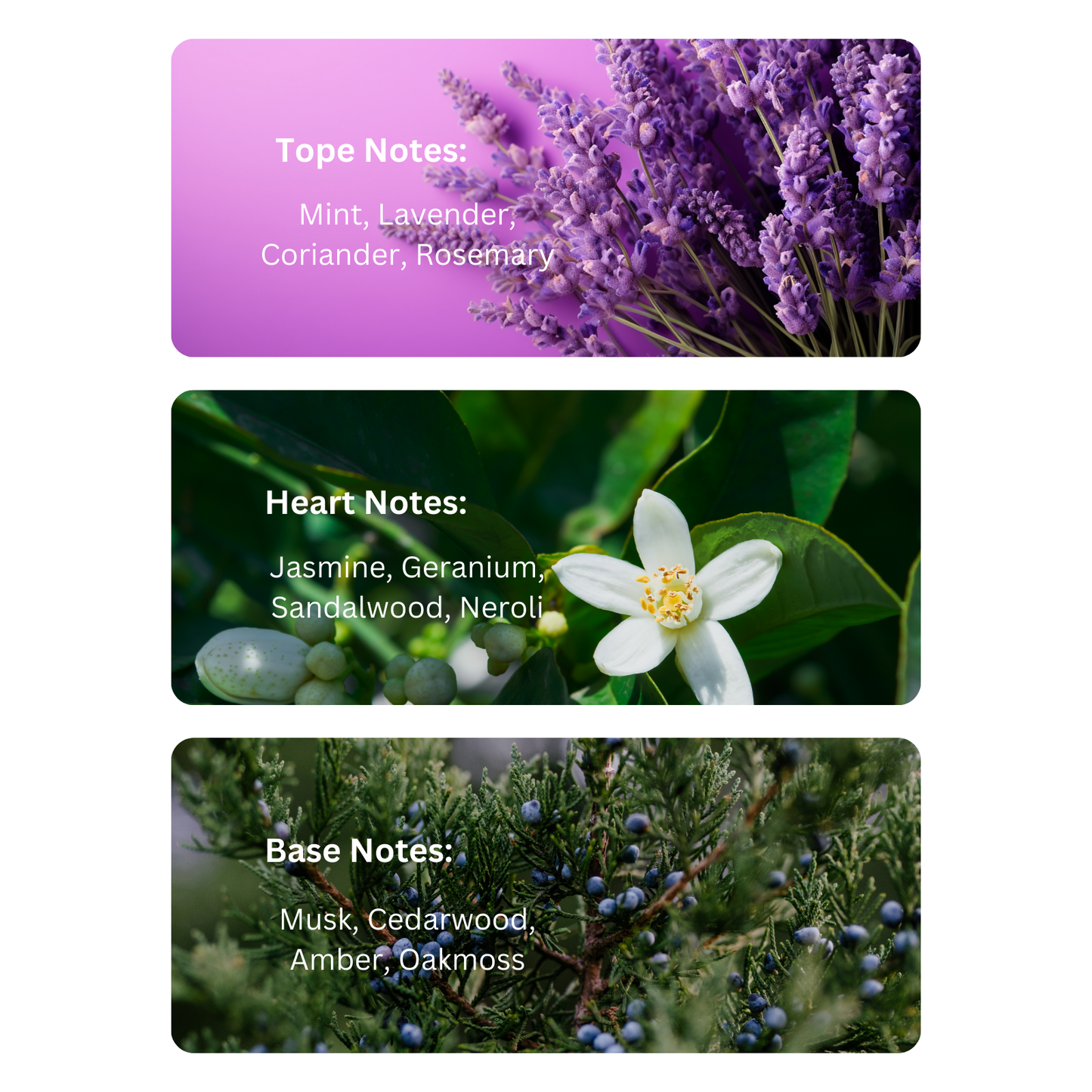 Ocean Soul β Inspired By Davidoff Cool Water