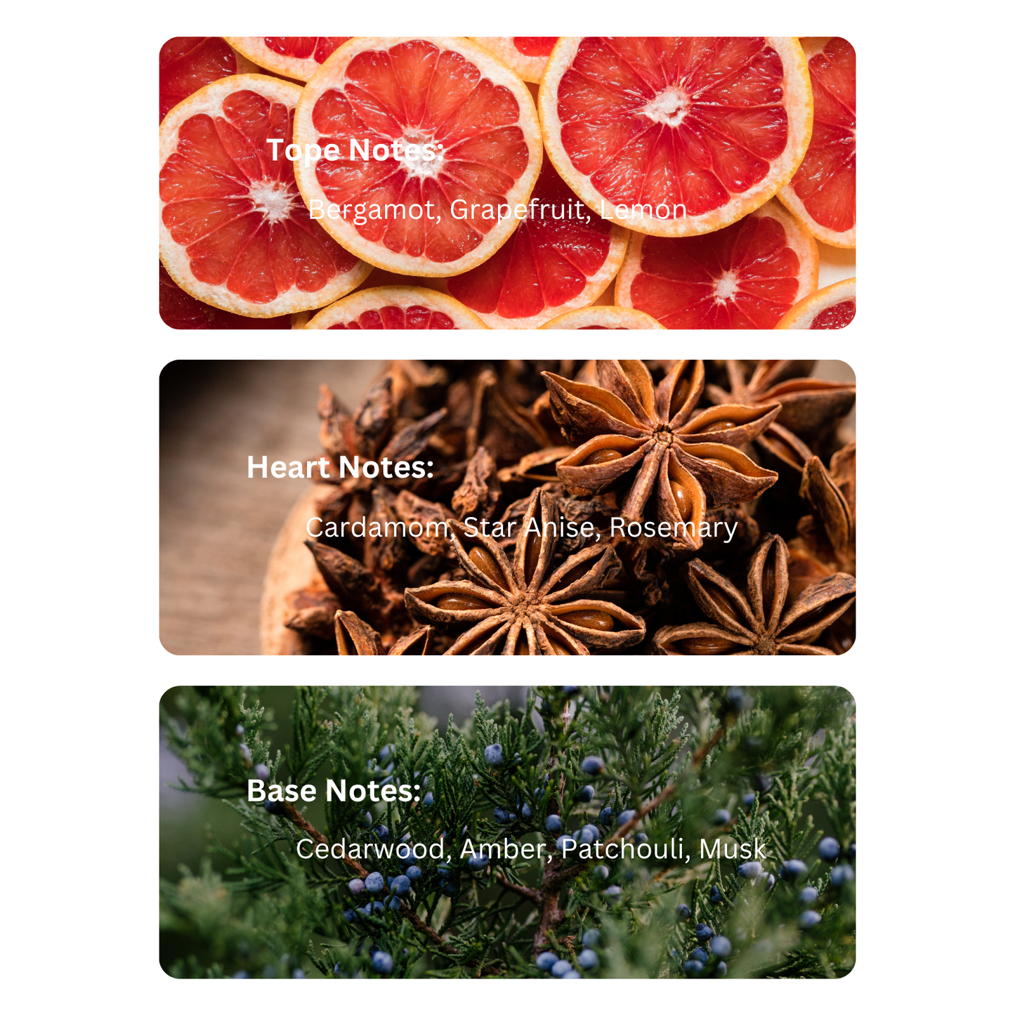 Alpha Vibe – Inspired By David Beckham