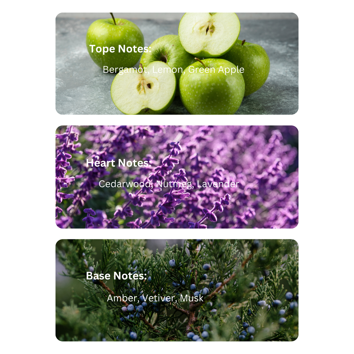 Executive Blend – Inspired By Office For Men