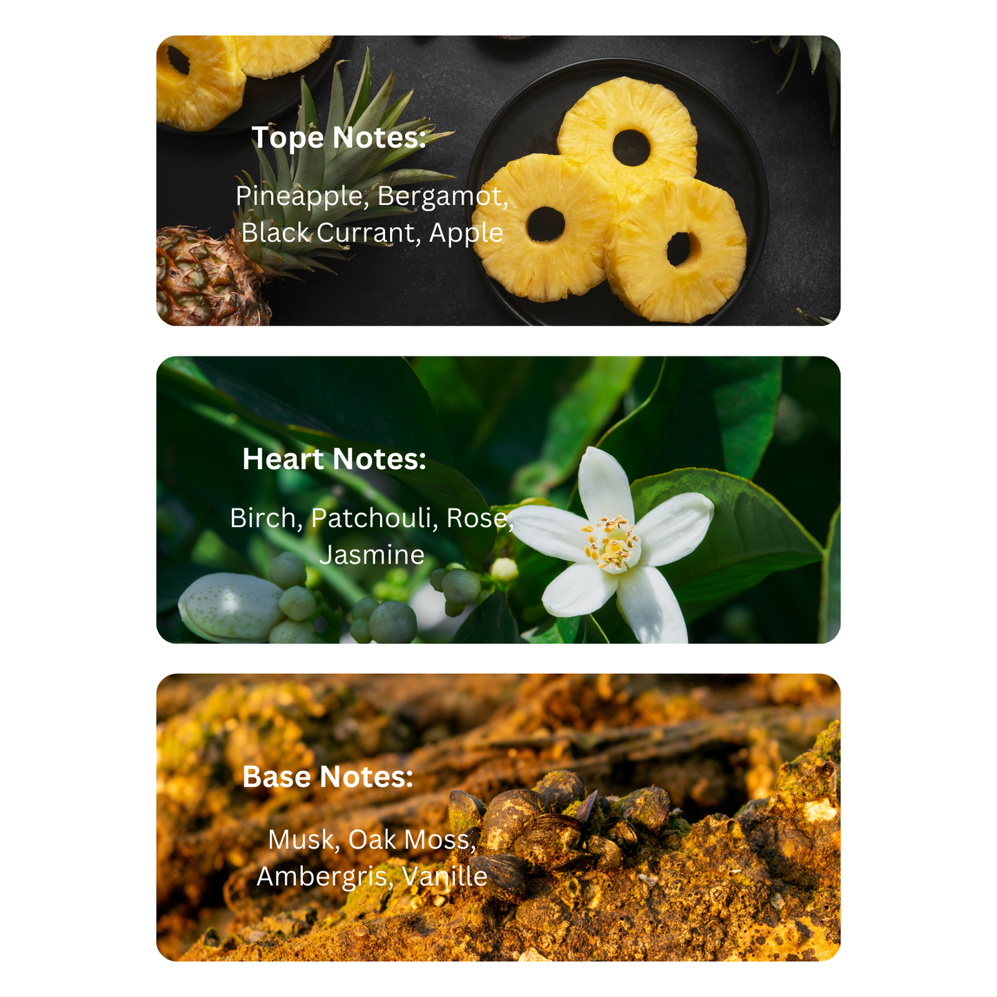 Fiery Glow – Inspired By Creed Aventus