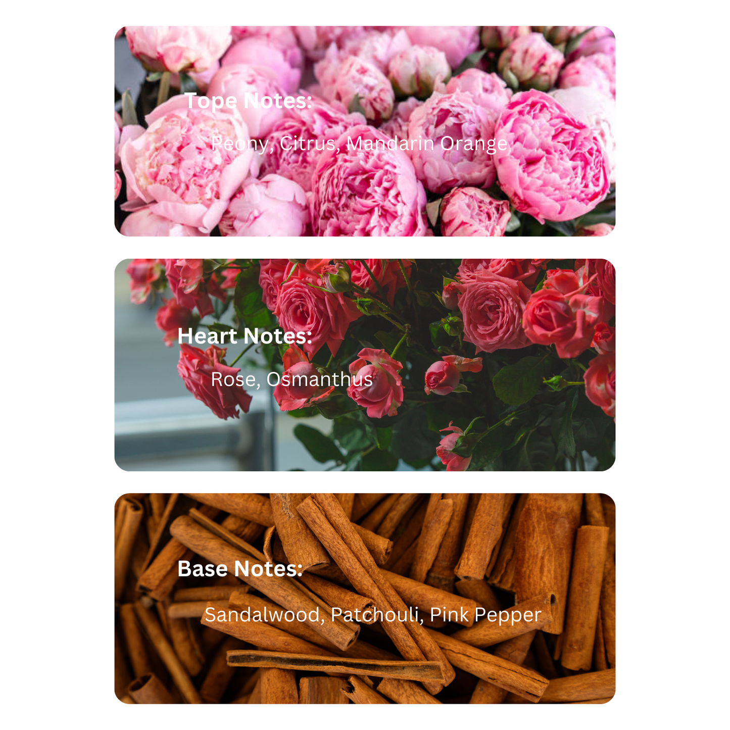 Floral Beauty – Inspired By Gucci Flora