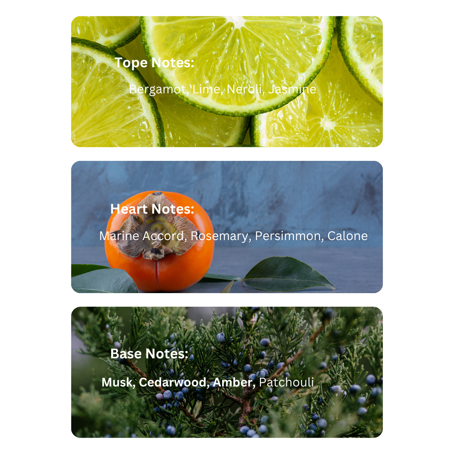 Illusory Bliss – Inspired By Acqua Di Gio