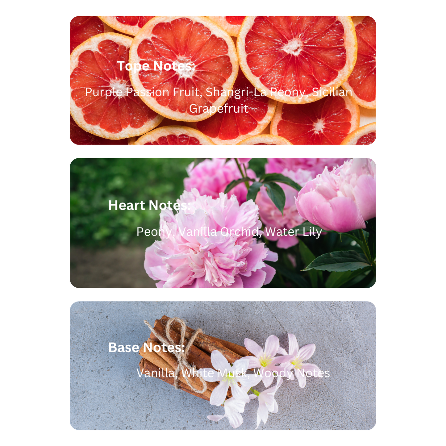 Silky Blush – Inspired By Victoria Secret Bombshell